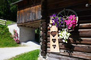 Brücklerhof - Haus im Ennstal - 5