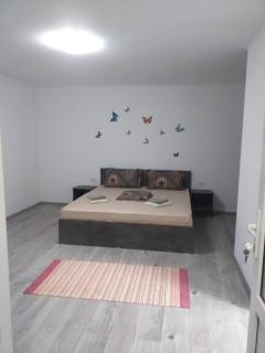Casa din Deal - 1