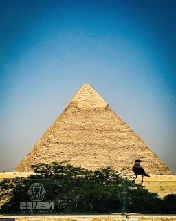 NEMES Pyramids View INN - Il Cairo - 9