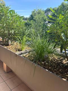 Ferienwohnung Weiss - Bad Breisig - 9