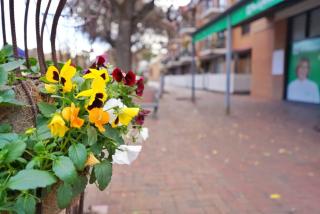 Cosy Ground Floor Walk to Adelaide Oval, City, Zoo & More - Adélaïde - 2