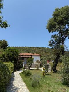 Villa Alexandros - Amolianí - 5