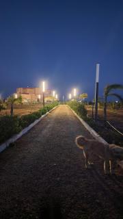Family fun farm - Berrechid - 3