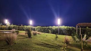 Family fun farm - Berrechid - 2