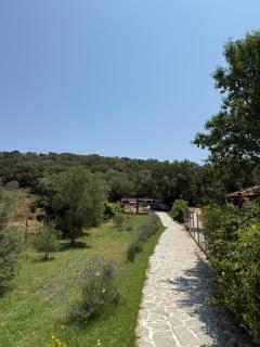 Villa Alexandros - Amolianí - 6