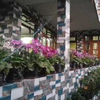 Pranav Home - Stay - Darjeeling - 3