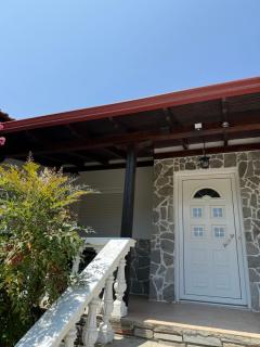 Villa Alexandros - Amolianí - 1