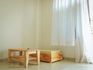 Mama Killa Studio,1BHK,Apartment - Pushkar - 3