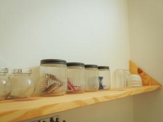 Mama Killa Studio,1BHK,Apartment - Pushkar - 1