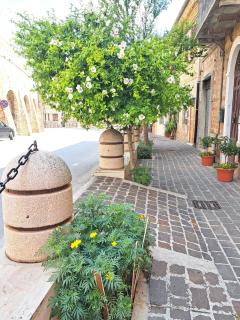 CINQUE TORRI AFFITTACAMERE - Osimo - 9