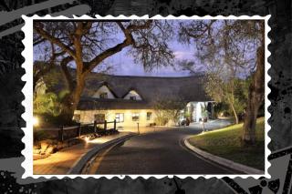 PILANESBERG NATIONAL PARK ENTIRE UNIT In KWA MARITANE BUSH LODGE SAFARI BY DAY, CAMPFIRE BY NIGHT - Pilanesberg - 9