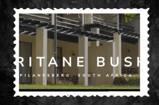 PILANESBERG NATIONAL PARK ENTIRE UNIT In KWA MARITANE BUSH LODGE SAFARI BY DAY, CAMPFIRE BY NIGHT - Pilanesberg - 6