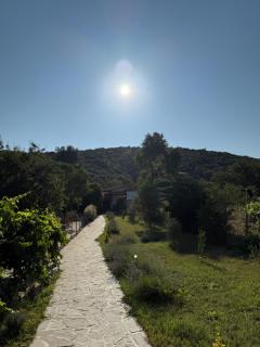 Villa Alexandros - Amolianí - 7