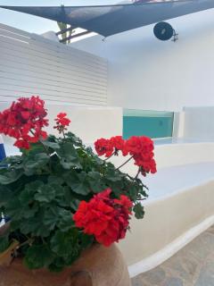 Philia villas - Agkidia - 5