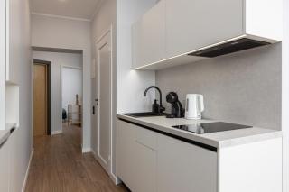 Gorgeous 1BR Old Town Apartment - 3