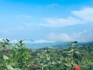 The Dee's at sinharaja - 1