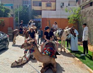 Queen Florya Pyramids - Cairo - 2