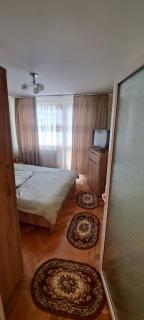 Casa de oaspeți - Brad - 2