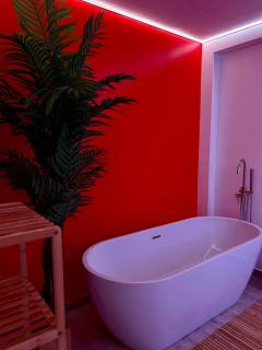 Passion - Suite con vasca - Collegno - 6