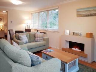 Leven Lodge 3 - Uk46045 - Balloch - 0