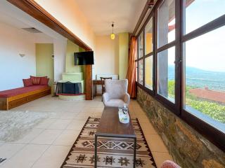 Pliades Traditional Guesthouse - Palaios Panteleimonas - 5