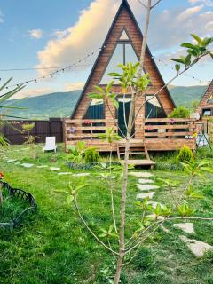 Oda Riverside Cottages - Aragvispiri - 3