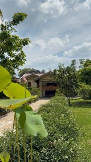 The Randoli Villa - Homagama - 9