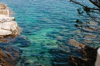 Hôtel Le Provençal - Rénové en 2025 - Bord de Mer - Hyères - 4