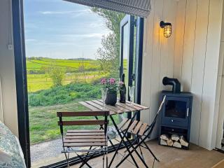The Carriage - Uk48947 - Shirland - 8