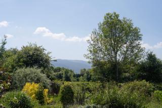 Rathdermot - Tipperary - 1