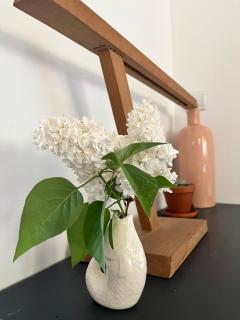 Artistic house - 5