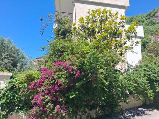 Apartments Villa Simonovic - Petrovac na Moru - 8