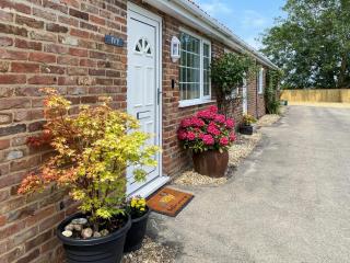 Ivy - Uk47373 - Burgh le Marsh - 4
