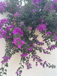 Cocon au bord de l eau - 5