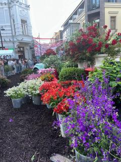 Sunny Tiflisi - Tiflis - 8