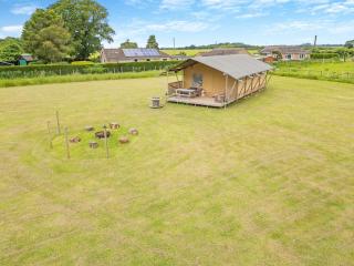 Fallow - Uk47397 - Bawdeswell - 0