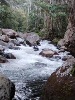 Campestre House - Alto Boquete - 7