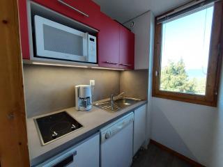 Studio confortable pour 3 avec balcon et animaux acceptés à La Plagne - FR-1-353-9 - La Plagne - 1