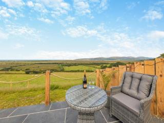 Leri - Uk46065 - Llancynfelyn - 9