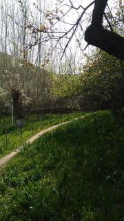 Begmurod guesthouse - Sentyab - 7