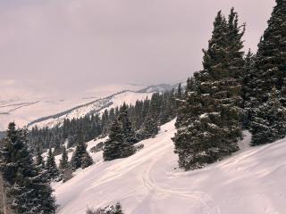 Kiralik daire - Karakol - 2