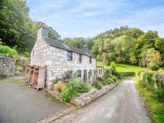 Yr Allt - Abergele - 0