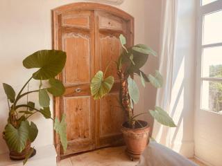 La maison des chanoines - Grignan - 6
