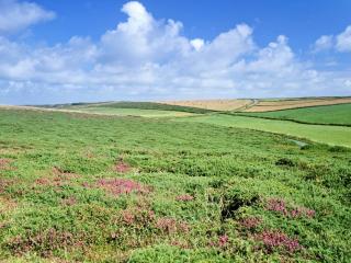Hoburne - Bodmin - 1