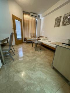 Kukunesh Apartments - Ohrid - 7