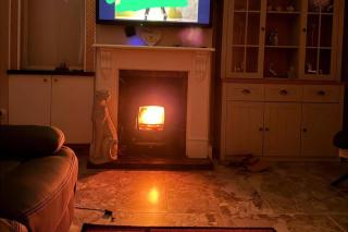 Cherry Chirp Cottage in County Fermanagha - Garrison - 6