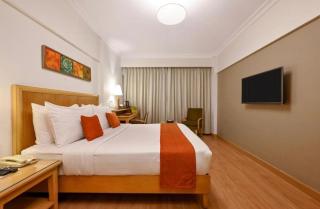 Hotel Diamond Inn-Near IGI-Airport-Terminal-3 - Neu-Delhi - 9