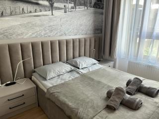 Apartament Kaszmir Stare Miasto - Breslavia - 7