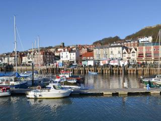 Seagull Apartment - Scarborough - 1