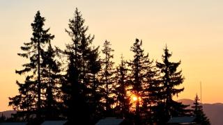 Penthouse - Travel Haven - Pamporovo - 7